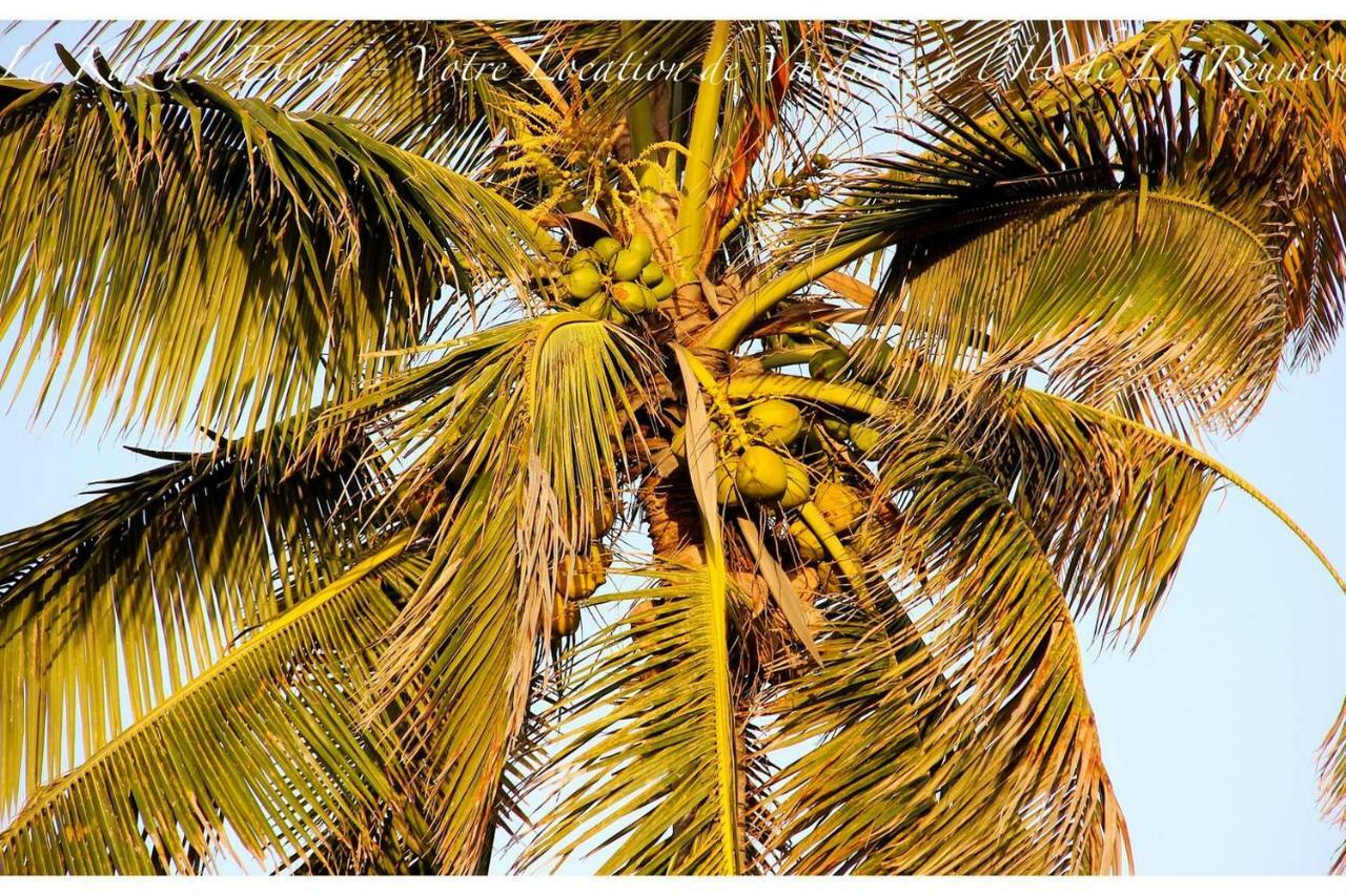 La Kaz A L'Etang - Votre Location De Vacances A L'Ile De La Reunion Σαιν-Λουί Εξωτερικό φωτογραφία