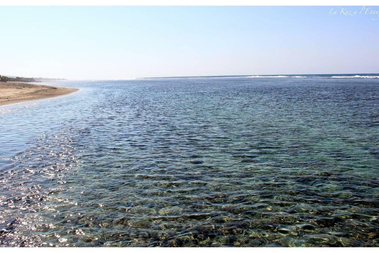 La Kaz A L'Etang - Votre Location De Vacances A L'Ile De La Reunion Σαιν-Λουί Εξωτερικό φωτογραφία