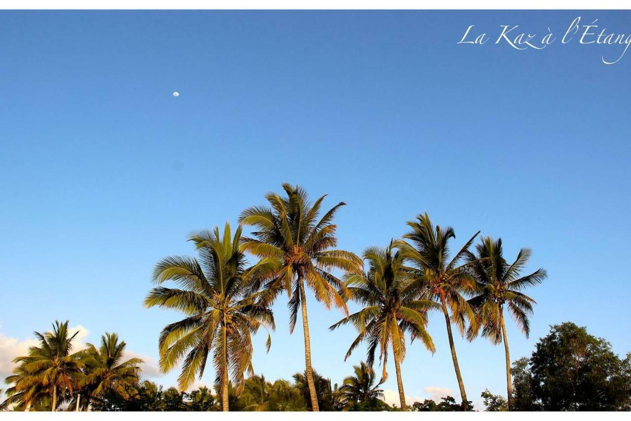 La Kaz A L'Etang - Votre Location De Vacances A L'Ile De La Reunion Σαιν-Λουί Εξωτερικό φωτογραφία